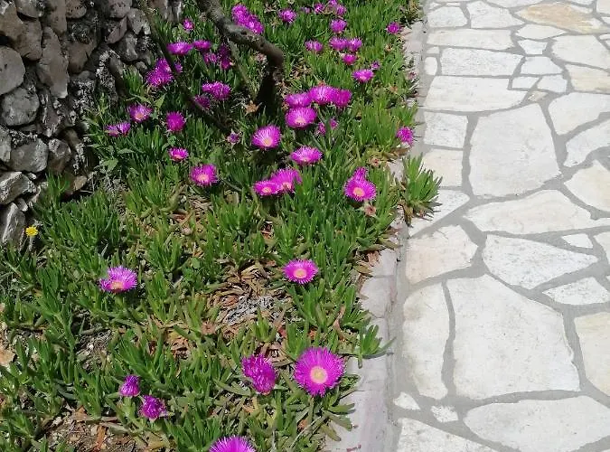 Kuca Za Odmor Ana Hébergement de vacances
