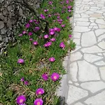 Kuca Za Odmor Ana Vikendica