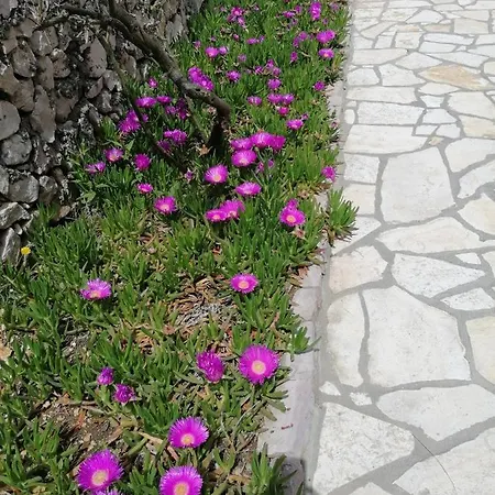 Kuca Za Odmor Ana Vakantiehuis